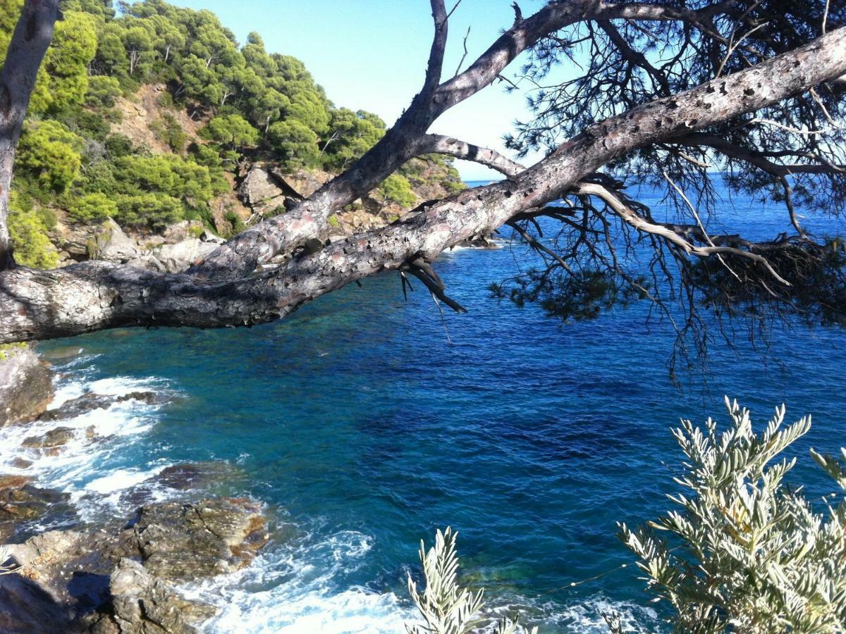 Villa De Vacances Au Calme Proche De La Mer La Londe-les-Maures Kültér fotó
