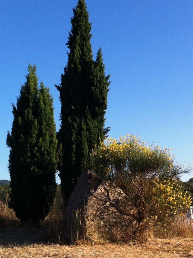 Villa De Vacances Au Calme Proche De La Mer La Londe-les-Maures Kültér fotó